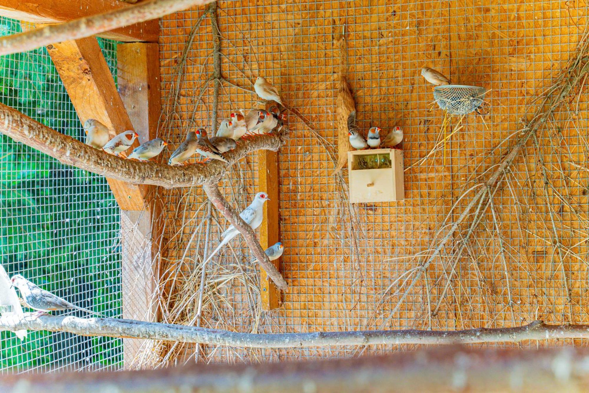 Farma Zelena Ruza Villa Klacno Dış mekan fotoğraf
